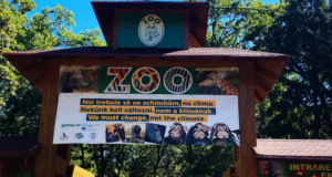 O zi printre elefanți și canguri! Zoo Târgu Mureș pregătește un program special de Ziua Mondială a Animalelor