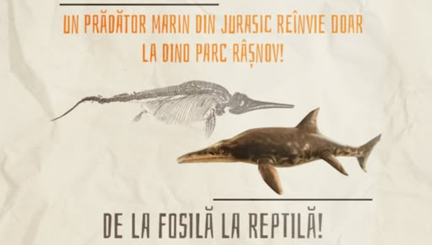 dino parc