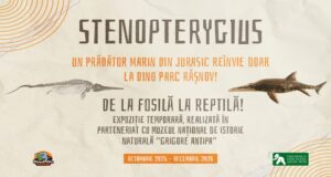 Dino Parc Râșnov și Muzeul Național de Istorie Naturală „Grigore Antipa” reînvie, în premieră mondială, un impresionant prădător marin din Jurasic
