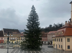 Așa arată bradul de Crăciun din Piața Sfatului! (FOTO)