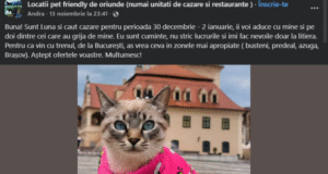 Tot mai mulți români își rezervă vacanțele în stil „pet friendly”. De Revelion, animalele de companie își caută singure cazare, în Brașov, pe Facebook