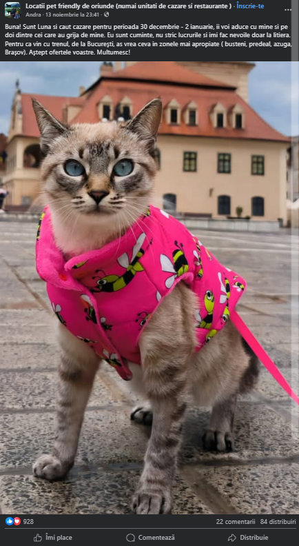 Tot mai mulți români își rezervă vacanțele în stil „pet friendly”. De Revelion, animalele de companie își caută singure cazare, în Brașov, pe Facebook 1 Captura de ecran 2025 11 18 084523