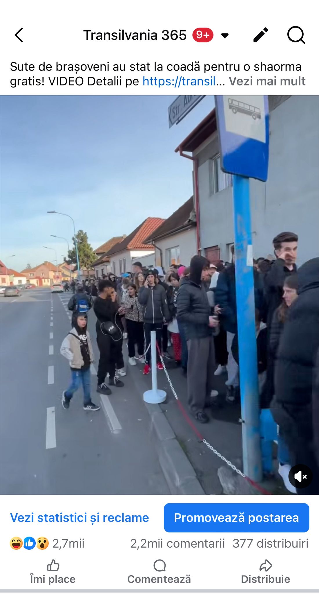 Promovează-ți afacerea cu cei mai buni! Transilvania365: Publicația care a avut peste jumătate de milion de vizualizări în doar 24 de ore! 2 IMG 20251117 WA0080