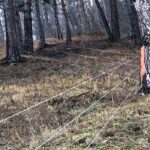 FOTO Premieră în România! A fost montat gardul electric de 9 kilometri care ține urșii departe de Râșnov 1 gard ursi Rasnov