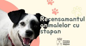Începe recensământul câinilor cu stăpân la Râșnov. Microcipare gratuită!