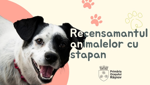 microcipare rasnov
