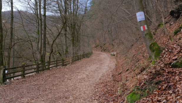 Drumul Vechi - poiana brasov - schei