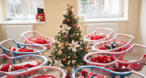 🎄 Crăciun plin de emoție la Maternitatea Brașov: bebelușii, îmbrăcați în hăinuțe festive, au adus magia sărbătorilor în saloane