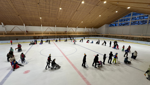 cheile gradistei - patinoar