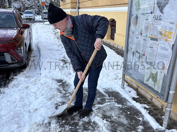 primarul Scripcaru la lopata