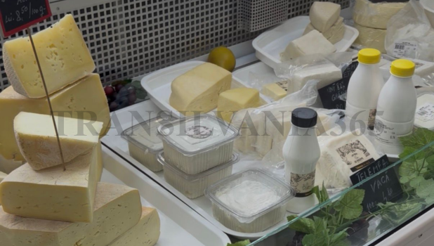 VIDEO. Transilvania 365 dă startul seriei „Antreprenori faini la Brașov”. Debut savuros la Lăptăria lui Giuseppe, cu brânzeturi artizanale produse la Brașov după rețete italiene 5 Laptaria lui Giuseppe 5