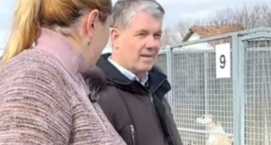 VIDEO. Aproape 400 de câini în adăpostul municipal. George Scripcaru: „Anul acesta vom investi în reparații și dotări”