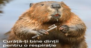 FOTO Sfaturi pentru un date reușit de Dragobete, de la viețuitoarele din Munții Făgăraș
