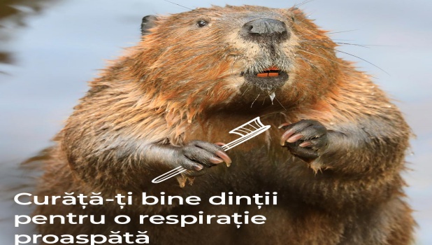dragobete1