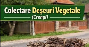 Program de colectare a deșeurilor vegetale la Râșnov