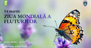 Fluturi și biodiversitate. Grădina Zoologică Brașov sărbătorește Ziua Mondială a Fluturilor
