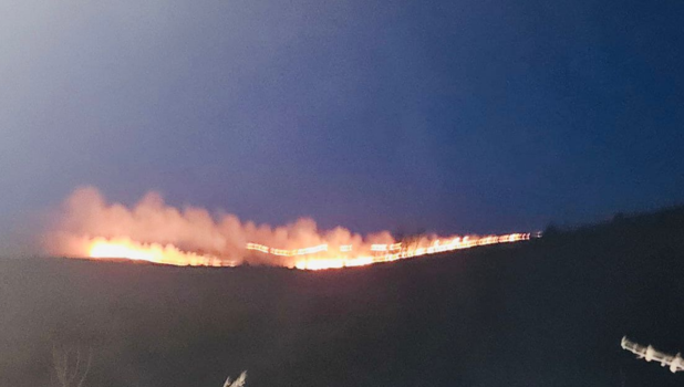 incendii vegetatie