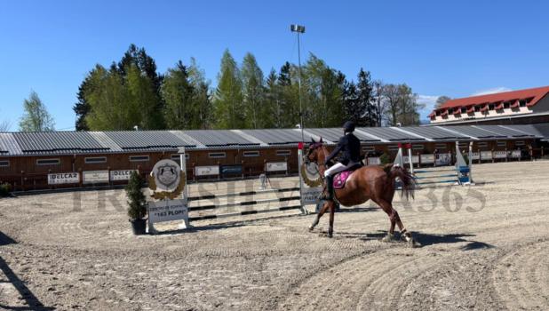VIDEO. Mai mult decât o pasiune! Povestea antrenoarei Iulia Tat de la Clubul Ecvestru 163 Plopi 6 Iulia Tat 4