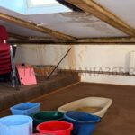 VIDEO, FOTO. Așa arată cea mai importantă bibliotecă din Brașov! Plouă prin acoperiș, iar apa este strânsă în găleți și ligheane 1 biblioteca judeteana1