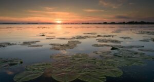 ”Delta Sălbatică”, primul documentar românesc de amploare dedicat Deltei Dunării, prezentat în premieră la Brașov