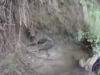 VIDEO. Pompierii din Sibiu au salvat un câine blocat în noroi în timpul căutărilor copilului dispărut