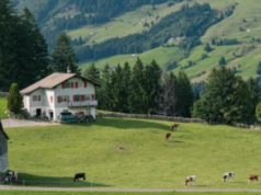 Tinerii din mediul rural, în centrul unei strategii naționale. Guvernul adoptă Carta Albă pentru reducerea decalajelor față de urban