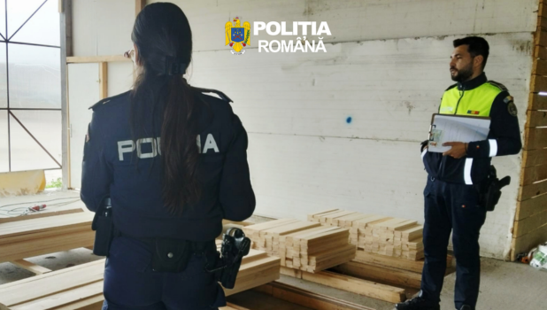 lemn - politia brasov