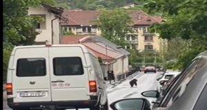 VIDEO Urs surprins în zona Porții Șchei