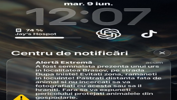Nou mesaj Ro-Alert: urs surprins în zona Șchei 1 captura mesaj
