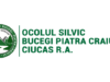 Ocolul Silvic Bucegi Piatra Craiului Ciucaș angajează pădurar! Dosarele se depun până pe 13 noiembrie