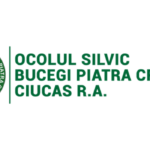 ocolul silvic cristian