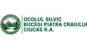 Ocolul Silvic Bucegi Piatra Craiului Ciucaș angajează pădurar! Dosarele se depun până pe 13 noiembrie