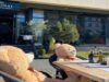 Bistro cu terasă de pe Coresi Street, scos la vânzare cu 95.000 de euro. Tot mai multe afaceri își caută ieșirea din piață