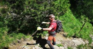 Traseele turistice montane din Bucegi, oficial deschise!
