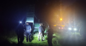 Urs ucis la Râșnov după ce a intrat în mai multe gospodării