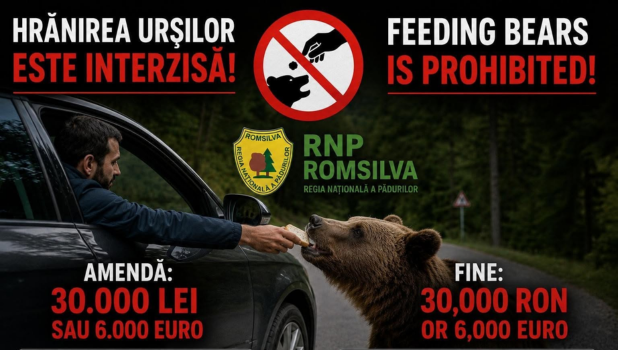 ursi - transfagarasan