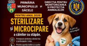Sterilizare și microcipare gratuită pentru câinii cu stăpân din Săcele