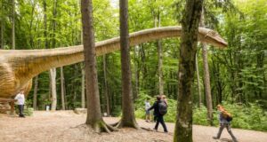 11 ani de Dino Parc Râșnov: peste 4,5 milioane de vizitatori și un impact de peste 130 de milioane de euro în economia locală