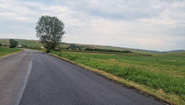 vegetatie
