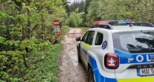 L-au prins cu copacii după el! Hoț de lemne, săltat în mijlocul pădurii