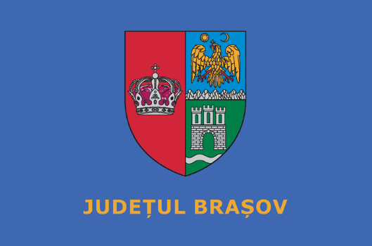 steagul judetului
