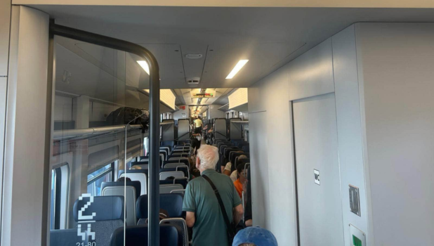 tren pesa (1)