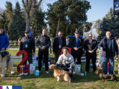 Râșnovul devine scena marilor campioni canini! Expoziție internațională pe 26 și 27 septembrie