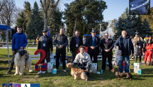Expoziția Canină Internațională Râșnov