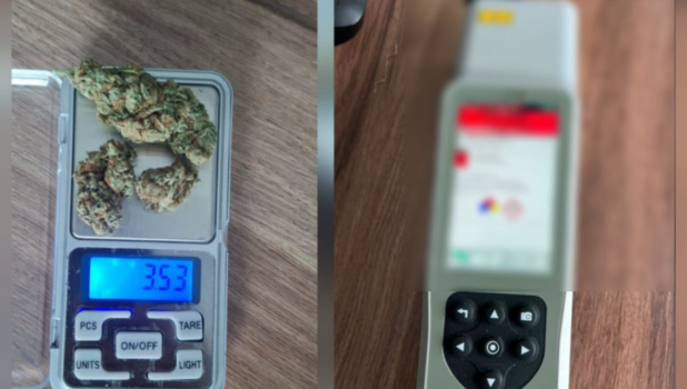 droguri - cocaina - canabis