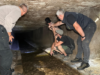 Surpriză sub Parcul Dima! Ce au descoperit experții în albia veche a Canalului Graft