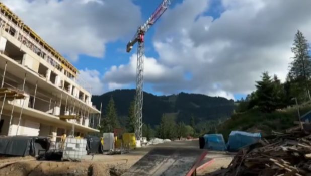 poiana brasov - defrisari