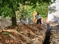 Exemplu de la Sibiu. Cum este modernizat un parc fără să fie afectată vegetația