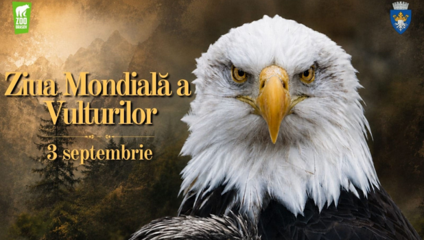 ziua mondiala a vulturilor