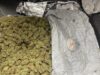Tânăr de 22 de ani prins, la Brașov, cu 6 kilograme de canabis pregătite pentru vânzare